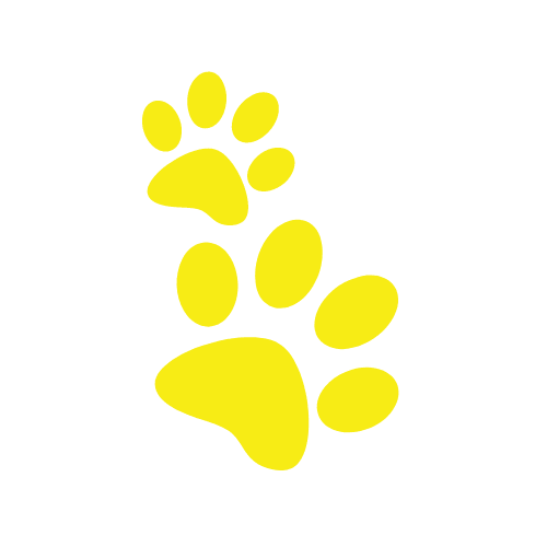 busselton paws yellow paws